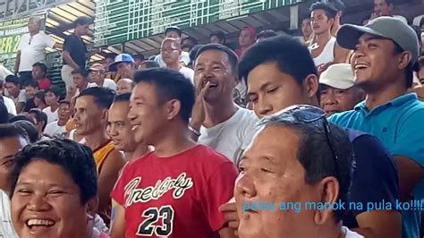 sabong funny quotes|Funny sabong (alamat lang makakarelate dito  .